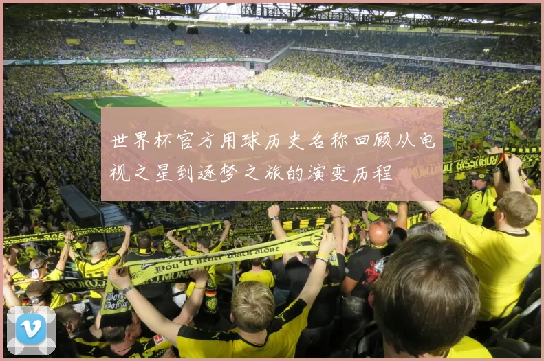 世界杯官方用球历史名称回顾从电视之星到逐梦之旅的演变历程