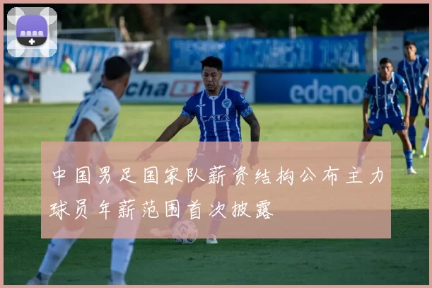 中国男足国家队薪资结构公布主力球员年薪范围首次披露