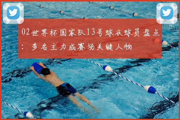 02世界杯国家队13号球衣球员盘点：多名主力成赛场关键人物